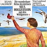  Teil 2 - Folge 4: Die wunderbare Reise des kleinen Nils Holgersson mit den Wildgänsen