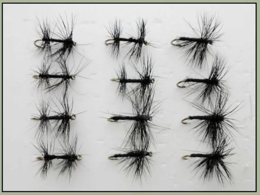 12 Dry Flies, Black Spider and Kntted Midge, Barbed or Barbless choice of sizes, Best Dry trout flies (Barbed, 12)