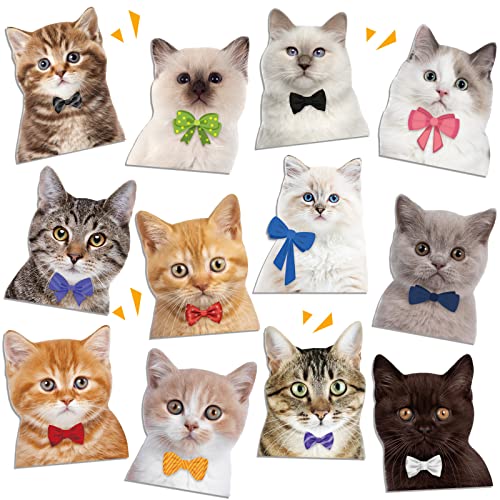 Imanes Decorativos de Gato Paquete x12