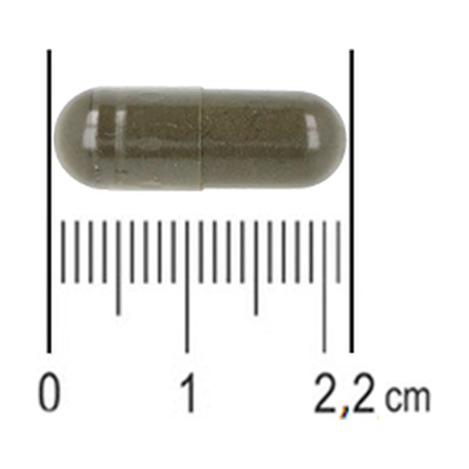 ZEUTICS by Naturitas | Multivitamins | 120 cápsulas | Vitaminas A, D, E, K y Biotina | Salud Natural |Extracto Plantas | Sin Gluten Sin Lactosa