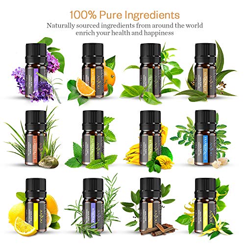 Anjou - Set diffusore di Oli Essenziali, 200 ml