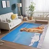 Tappeto di Alta Qualità e Resistente: I tappeti 60 x 110 cm, realizzati in pregiato cashmere ultra-fine, offrono una texture morbida e confortevole. Sono durevoli, resistenti alla perdita di peli e agli danneggiamenti, mantenendo la loro qualità nel tempo. Perfetti per chi cerca un prodotto elegante e funzionale che unisce comfort e resistenza