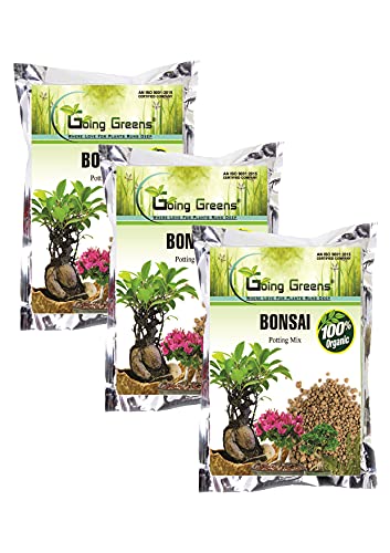 Image of 100% Organic Bonsai Potting Soil Mix - 2400 GMS (800 GMS x 3 nos)