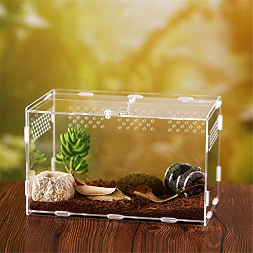 Foxglove Reptiel Voeden Doos Fokken Doos Transparant Glas Fokken Doos Terrarium Terrarium Feeder Slangen Spin Hagedis… - Afbeelding 5