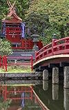  Notebook: Japan Koyasan Buddhism temple bridge spirituality