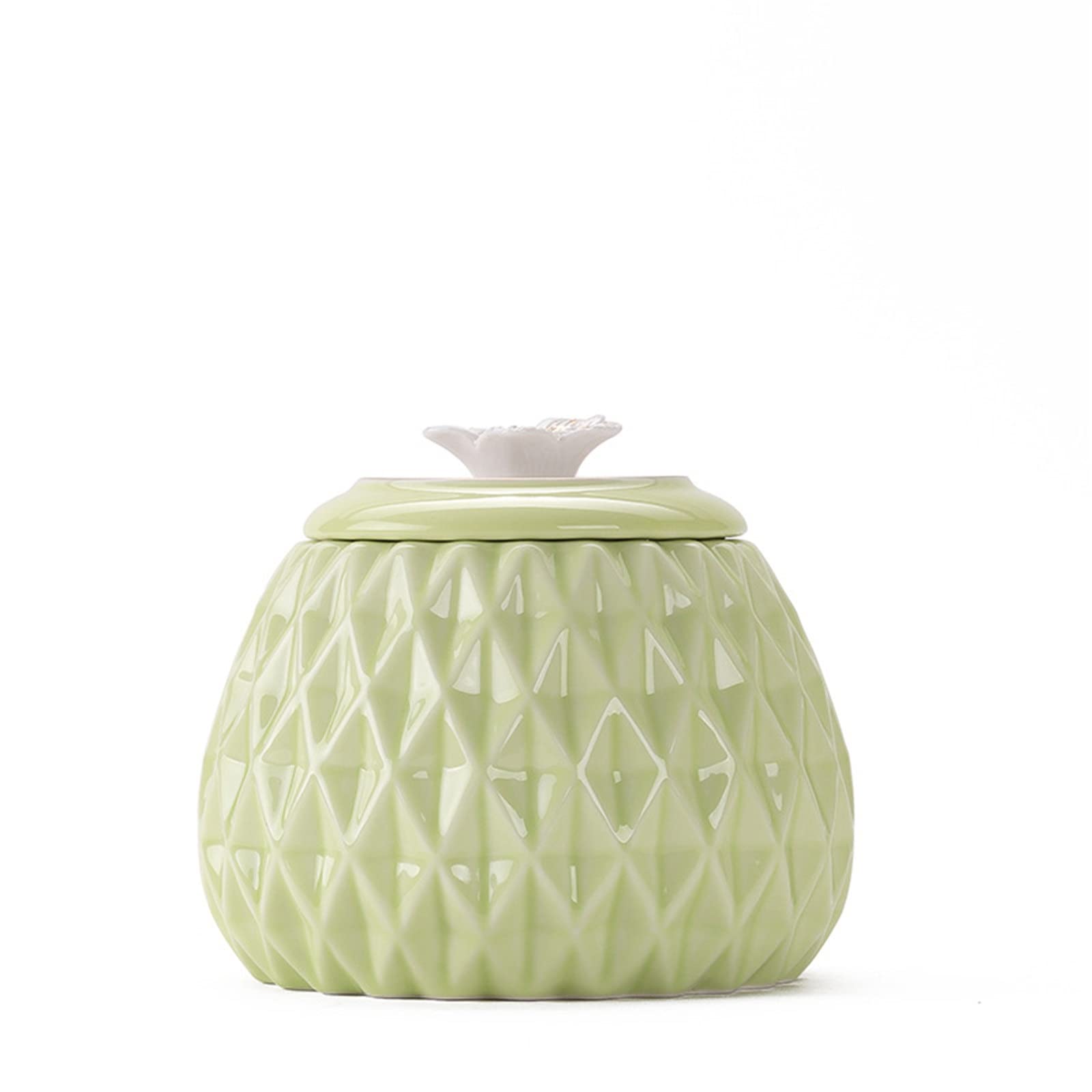 FZYOZZDPASL Ceramic Tea Canister Ceramic Tea Cans Waking Jar Food Jars Sealing for Coffee, Spices(Green)