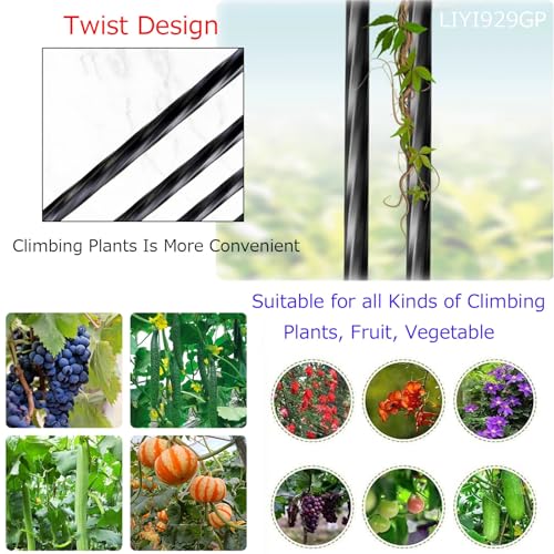 Support pour plantes arche demi-mur extérieur jardin intérieur