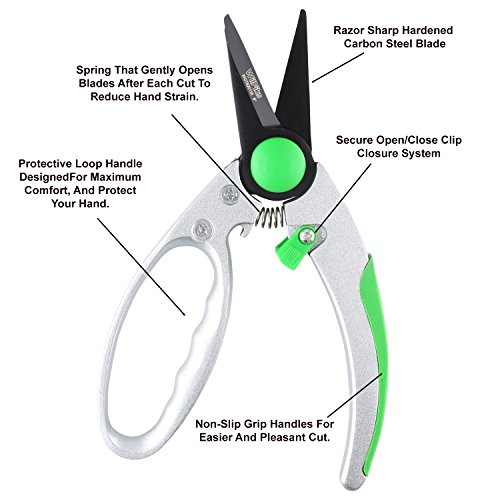WilFiks Garden Pruning Shears - 8\" Classic Hand Pruner - Secateurs Steel Gardening Scissors with Comfortable Handle and Shock Absorbing Spring - Branch, Stem and Tree Trimmer Hand Tool