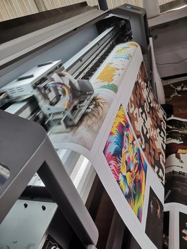 Affiche loutre mignonne : la solution pour décorer un petit mur vide