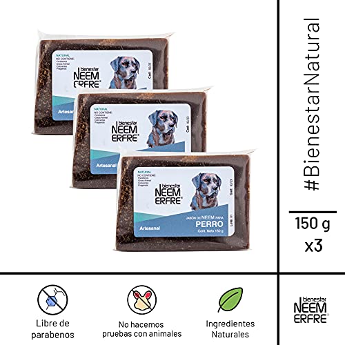 Cuidado Femenino, Guild Imagen adicional