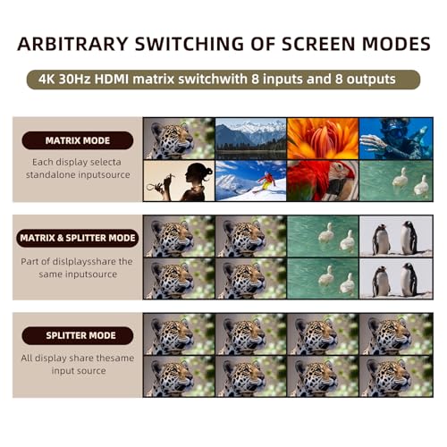 Matriz HDMI 8 entradas 8 salidas 4K compatible con audio DTS-HD Master Audio 6