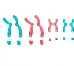 Vikye Kit de Modelo de Cromosomas de Meiosis, Desmontable Reutilizable