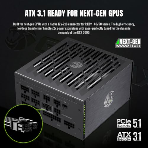 GAMEMAX LION CORE 1000W (LION CORE 1000P) の商品画像 5