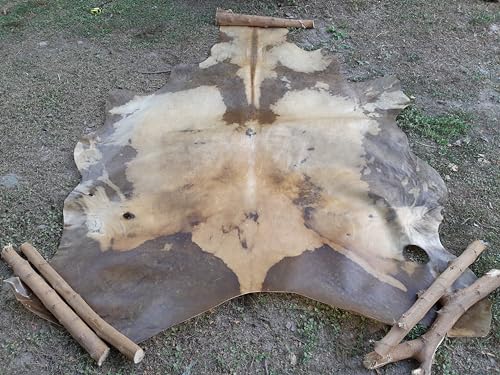 Peau de cheval brute en cuir véritable pour artisanat et tannerie - 4