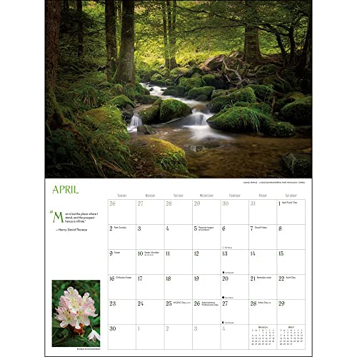 Into The Woods Deluxe 2023 Calendar #TOP5