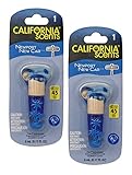 California Scent Air Fresheners Hanging Vial - New Car Scent: Hanging Air Freshener & Odor Eliminator for Strong Odor, 2 Packs