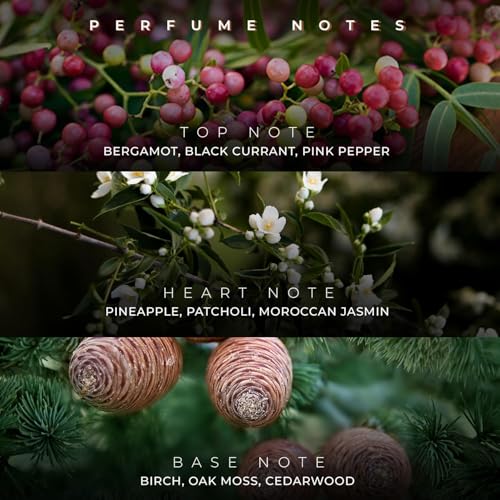 Image of French Factor Starboy Play Luxury Perfume For Man Long Lasting Party Perfume Eau De Parfum Gift For Boys Made In India (Pack of 1, 100Ml)