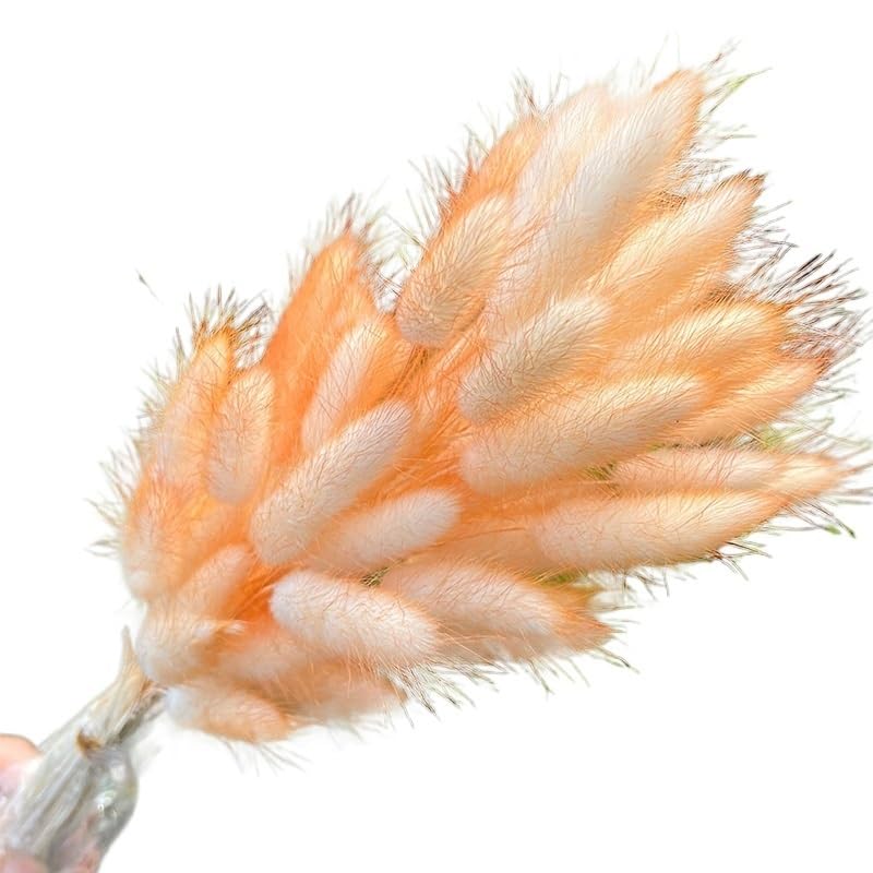 Hierba de Pampas Secada para Decoración de Hogar y Bodas miniatura 1