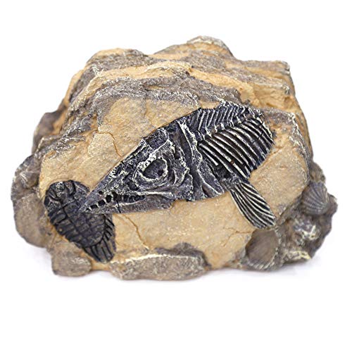 Reptiles-Amphibians Habitat-Hideouts Rock Aquarium-Decorations - Dinosaur Fish Bone Fossil Imitation Skull Model for Lizard Chameleon Tortoises Snake Spider Frog Gecko Praying