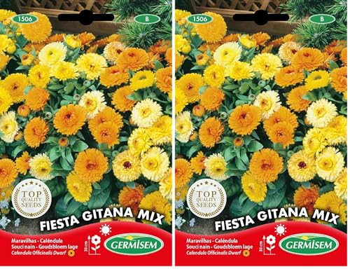 Germisem Fiesta Gitana Mix Semillas de Caléndula 1.25 g (EC1506) (Paquete de 2)
