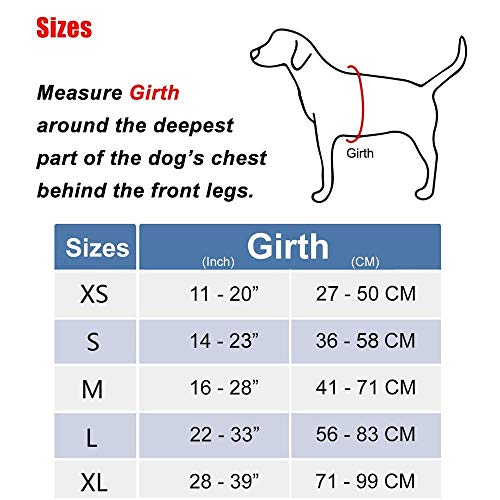 Poypet No Pull Dog Harness, Reflective Comfortable Vest Harness With Front & Back 2 Leash Attachments And Easy Control Handle Adjustable Soft Padded Pet Vest For Small To Large Dogs (Light Blue,L) #TOP6