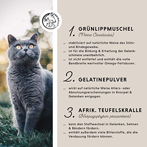 Annimally Gelenk Pulver für Katzen I 120g für 4 Monate - Die Alternative zu Gelenktabletten - Gelenkfit Pulver mit Grünlippmuschel, MSM, Teufelskralle, Taurin, Glucosamin und Kurkuma