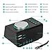 Radio Reloj Despertador, Radio Reloj Digital Reloj de Cabecera con USB Doble,...