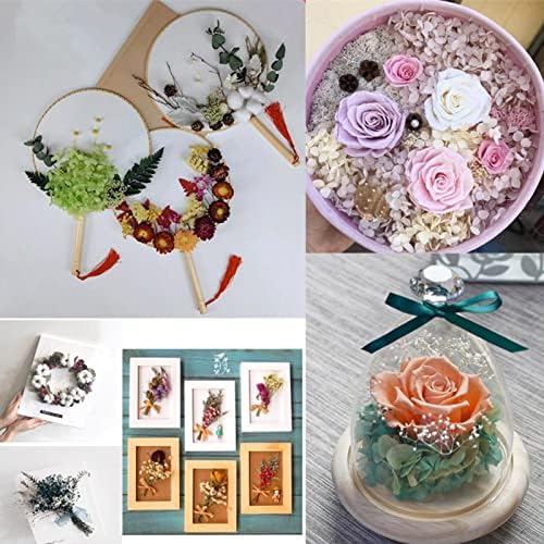 Colorful Real Dried Flowers, Dried Flowers Plants, Decor Natural Dried Plants Flowers, Pressed Flowers For DIY Candle Resin Jewelry Nail Pendant Crafts Making Art Floral Decors