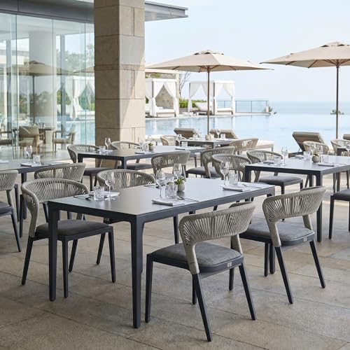 Image of PURPLE LEAF Outdoor Patio Dining Chair 2 with Built-in Cushions Gray