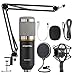 ZINGYOU Condenser Microphone Bundle, BM-800 Mic Kit with Adjustable Mic Suspension Scissor Arm, Shock Mount and Double-Layer Pop Filter for Studio Recording & Brocasting (BM-800 Microphone Bundle)