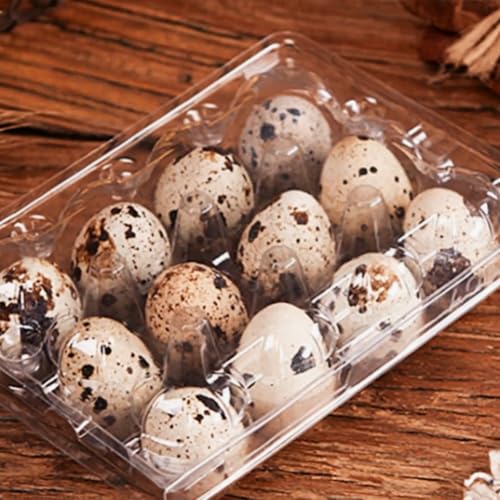 image for MANCHAP 150 Pack 12 Grids Plastic Quail Egg Carton Bulk, Clear Holders