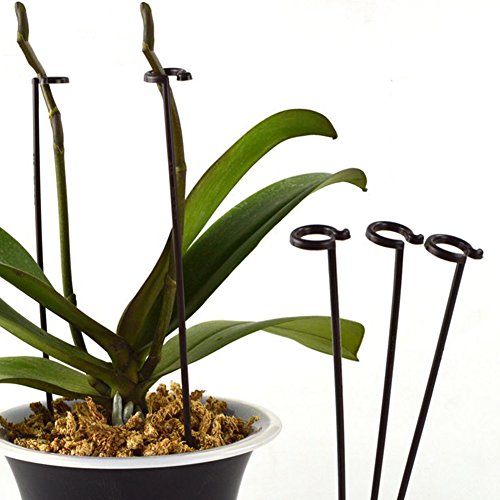 Exttlliy Plastic Garden DIY Plant Support Climbing Trellis Flower Supports for Chinese Rose/Orchid Stem Random Color (10Pcs) - Thumbnail 2