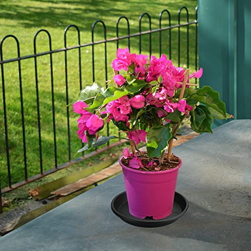Zunteng Black Plastic Plant Saucer, 3Pcs Plant Tray,12Inch Flower Plant Pot Saucer For Indoor And Outdoor #TOP6