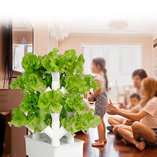 Système de plantation de tour, système de Culture aquaponique 16/24/32 Trous, kit de Culture aéroponique pour Herbes, Fruits et légumes avec Pompe hydratante, Adaptateur, Pots en Filet,2Columns