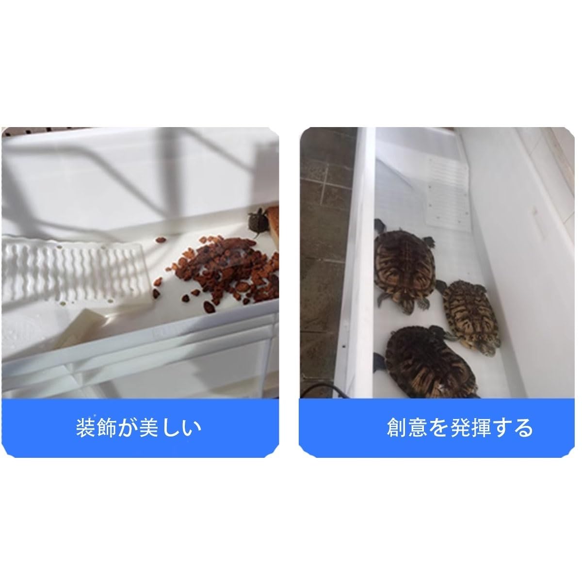 Waterland 亀 飼育 ケース Waterland tubs L 亀飼育ケース 公式通販