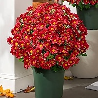 Chrysanthèmes Artificiels Extérieur Résistants UV - Fleurs Réalistes Avec Feuilles D'Eucalyptus - 14