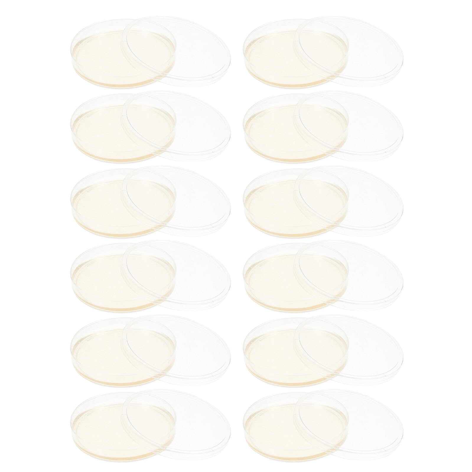 Mipcase 20 Placas de Petri de Agar Pre-vertido Estériles de 9cm para Cultivo Microbiológico Empaque Estéril, Listas para Usar en Investigación y Crecimiento de Hongos