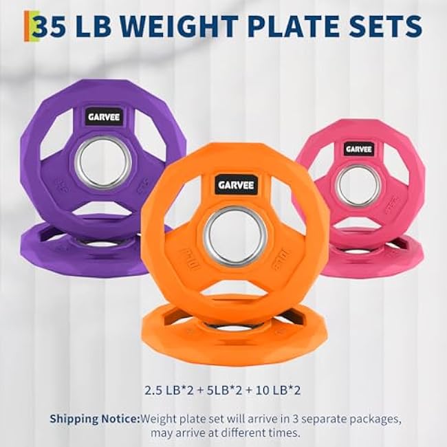 2-In-1 Cast Iron Rubber Coated Color-Coded Weight Plates ¨C 2.5LB, 5LB, 10LB, 25LB, 35LB, 45LB Options | Single, Pair & Full Sets for Home Gym & Strength Training
