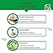 Bio Chlorella Pulver 500g | Premium Rohkost-Qualität | 100% reines Algen-Pulver ohne Zusätze | Zellwand gebrochen Vegan