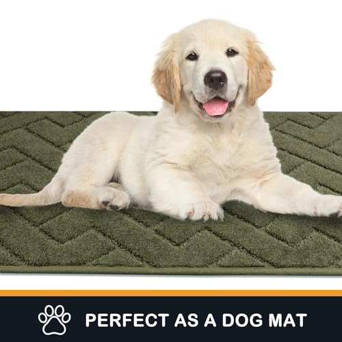 PURRUGS Dirt Trapping Door Mat 32" x 70", Non-Slip Machine Washable Entry Rug, Shoe Scraper, Dog Doormat, Super Absorbent Welcome Mat for Front & Back Door, Muddy Wet Shoes & Paws, Sage Green