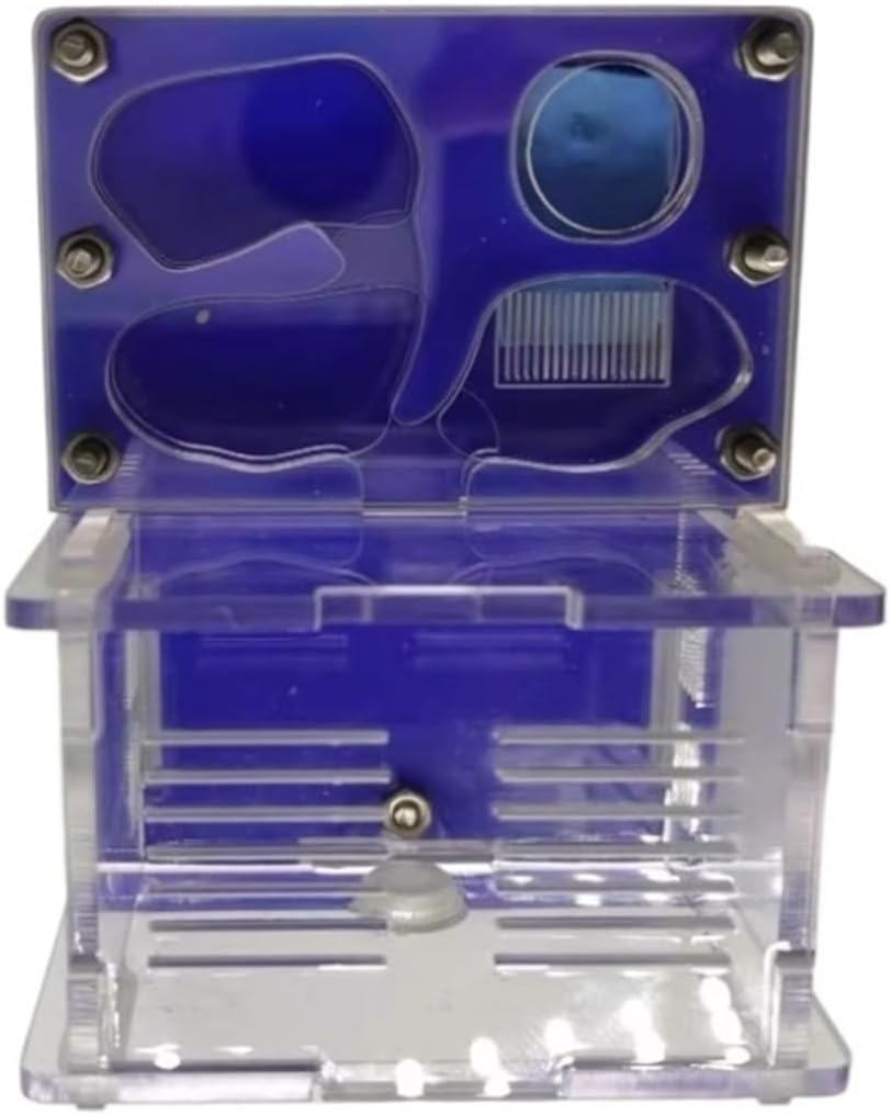 Ant Farm Flat Surface Ant Farm with Hydrating Pool Activity Area FarmAnt Castle Acrylic Habitat