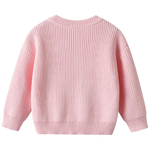Girl's Crewneck Pullover Knitted Sweaters Fall Winter Clothes Long Sleeve Cute Preppy Embroidery Party Tops 1-8Y2