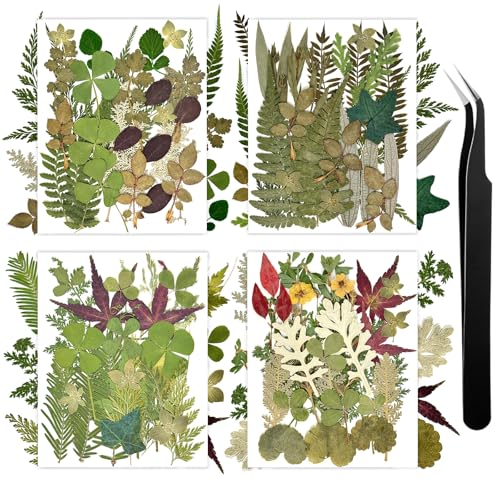 110+ Pcs Dried Flowers Leaves for Crafts, Real Pressed Flowers Dry Leaves for Resin Scrapbooking DIY Art Crafts Epoxy Resin Jewelry Mold Candle Soap Making...
