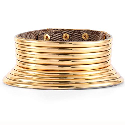 Fstrend African National Choker Collars Gold Leather Chunky Punk Necklace Gothic Statement Necklaces Jewelry for Women and Girls (Gold)