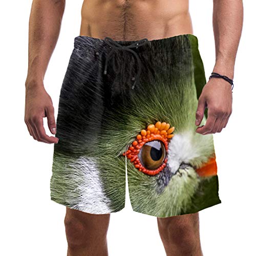 Short de bain homme avec doublure maille anti-irritation motif perroquet multicolore M