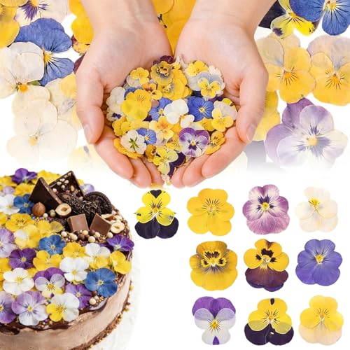 Celblisora 50 Stück 10 Sorten Natürliche Getrocknete Gepresste Essbare Blüten für Tortendekoration Mix Viola Tricolor für Cupcake-Topper Cocktails DIY-Kunsthandwerk