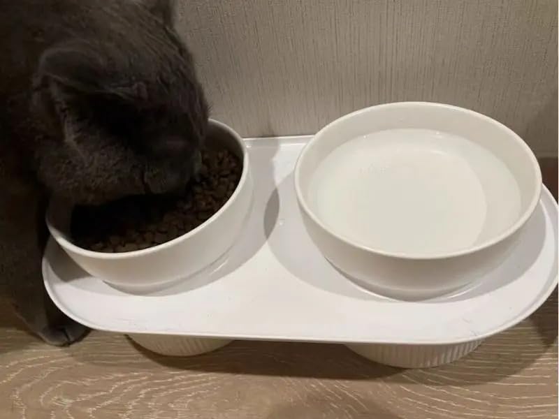 HappyCat Ceramic Elevated Bowl: Anti-Spill Design, Detachable Base for Easy Cleaning - Stylish, Functional, and Purr-fect for Feline Friends (white, Double)