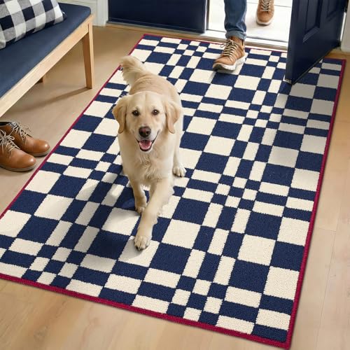 Biscpro Checkered Grid Dirt Trapper Indoor Doormat,80x120cm Blue Door mat