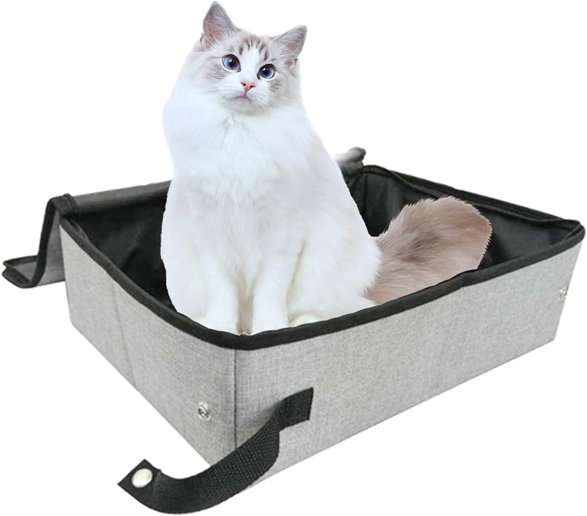 猫 トイレ 本体 折り畳み猫のトイレ蓋付きネコトイレシート収納簡単コンパクト 猫ベッド防災 猫ちゃん トイレ非常用携帯ポータブルトイレ犬猫小動物ペットドライブボックス 車防水シートアウトドア旅行帰省簡易寝床 ファッション通販 猫 トイレ 本体 折り畳み猫のトイレ蓋付きネコトイレシート収納簡単コンパクト 猫ベッド防災 猫ちゃん トイレ非常用携帯ポータブルトイレ犬猫小動物ペットドライブボックス 車防水シートアウトドア旅行帰省簡易寝床 ファッション通販