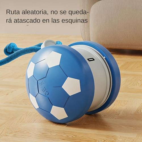 Jouet interactif pour chat avec corde de queue rechargeable pour la chasse - 5